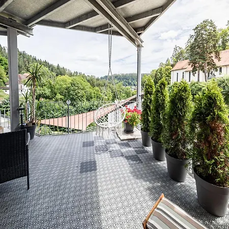 Апартаменты Premium Schwarzwald Триберг